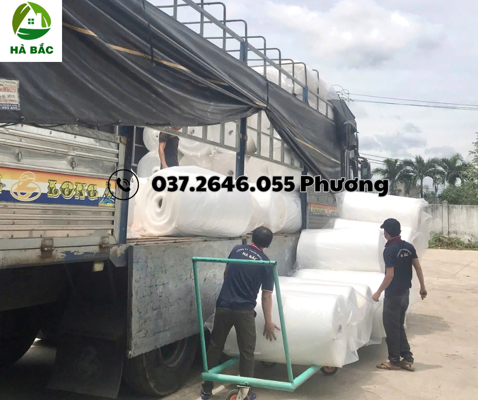 mút xốp pe foam 