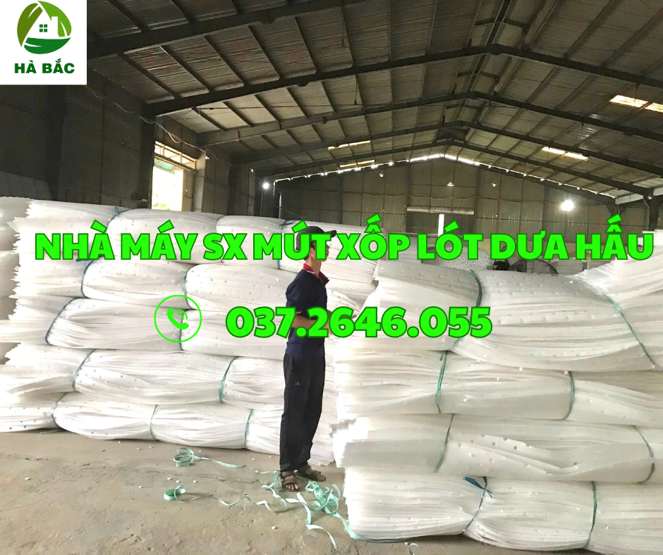 xốp lót dưa Hà Bắc