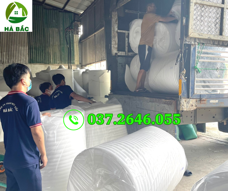mút xốp foam