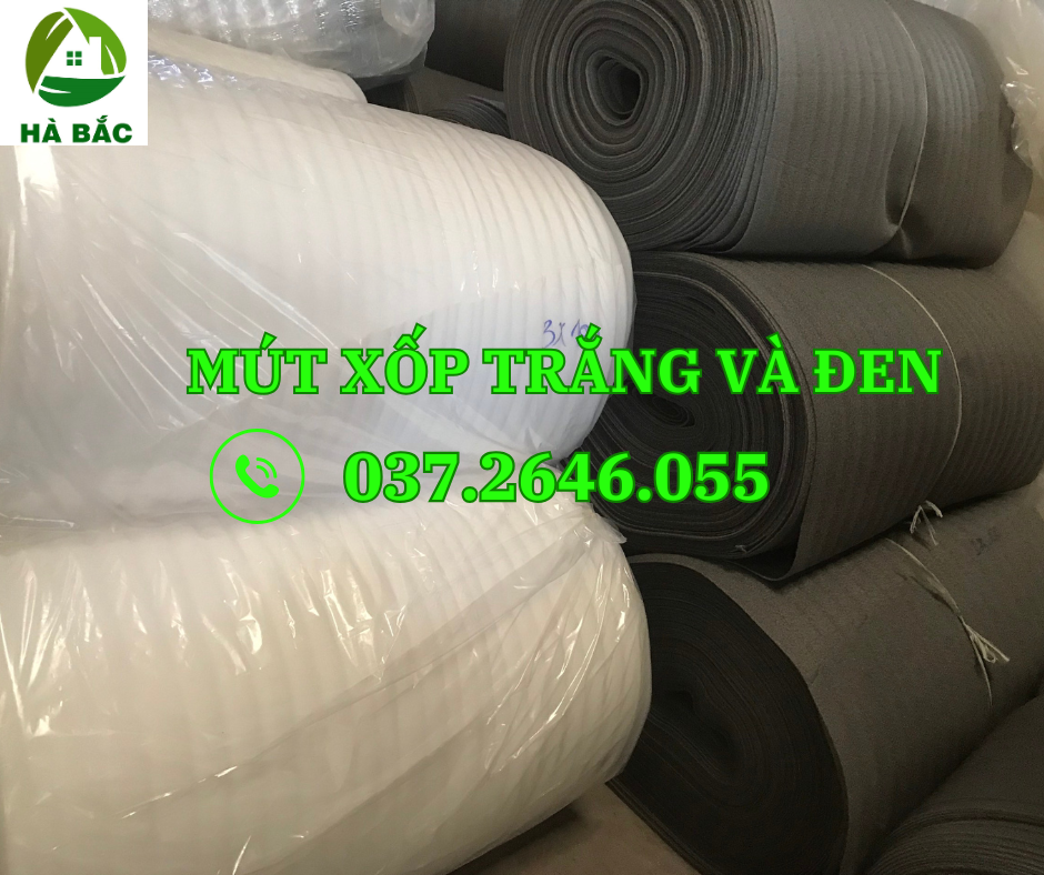 foam Bình Định