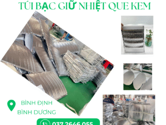 tui bac giu nhiet que kem