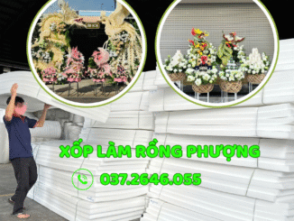 xop-rong-phuong-binh-dinh