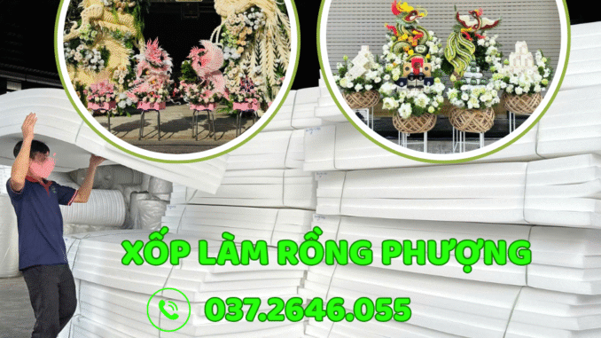 xop-rong-phuong-binh-dinh