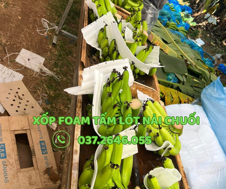 mút xốp lót chuối