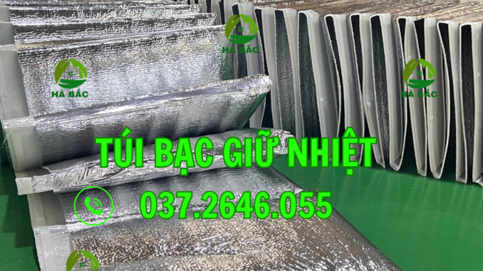 workout (53) túi xốp bạc giữ nhiệt