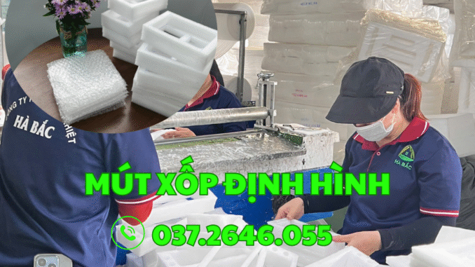 mút xốp định hình tại Bình Định