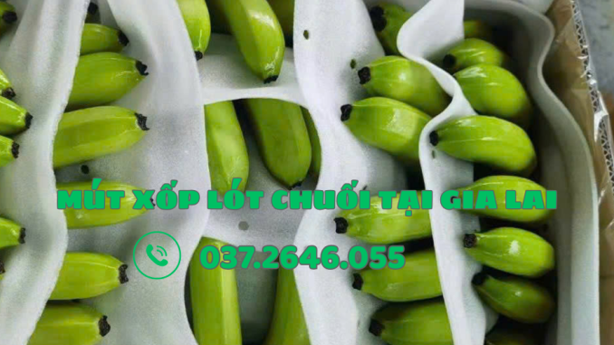 mut xop lot chuoi tai gia lai