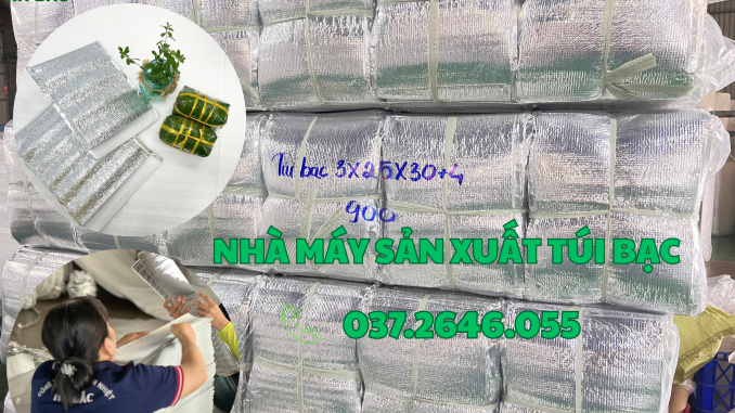 tui bac giu nhiet tai gia lai